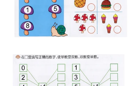p20认识-单双数_幼小衔接全套_7.幼小衔接全套_22、幼小衔接教材_数学幼小衔接教师参考用书word（数学）