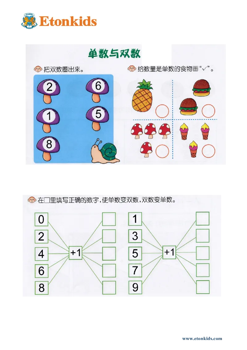 p20认识-单双数_幼小衔接全套_7.幼小衔接全套_22、幼小衔接教材_数学幼小衔接教师参考用书word（数学）