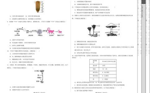 生物（全国卷）（考试版A3）_2025年初中《中考第一次模拟》全国各地区模拟卷（8科全）(1)_2025年《中考第一次模拟卷》初中生物_全国通用&radic;