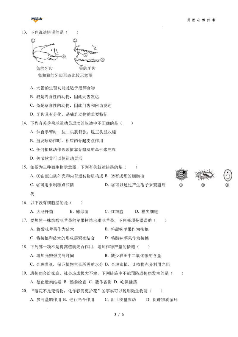 生物（重庆卷）（考试版A4）_2025年初中《中考第一次模拟》全国各地区模拟卷（8科全）(1)_2025年《中考第一次模拟卷》初中生物_重庆&radic;_生物（重庆卷）