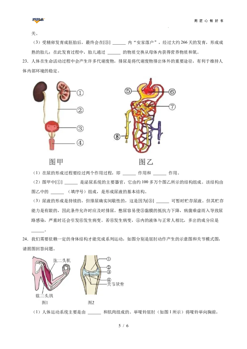 生物（重庆卷）（考试版A4）_2025年初中《中考第一次模拟》全国各地区模拟卷（8科全）(1)_2025年《中考第一次模拟卷》初中生物_重庆&radic;_生物（重庆卷）