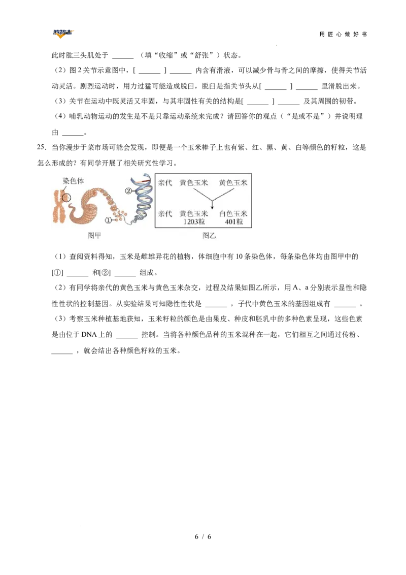 生物（重庆卷）（考试版A4）_2025年初中《中考第一次模拟》全国各地区模拟卷（8科全）(1)_2025年《中考第一次模拟卷》初中生物_重庆&radic;_生物（重庆卷）