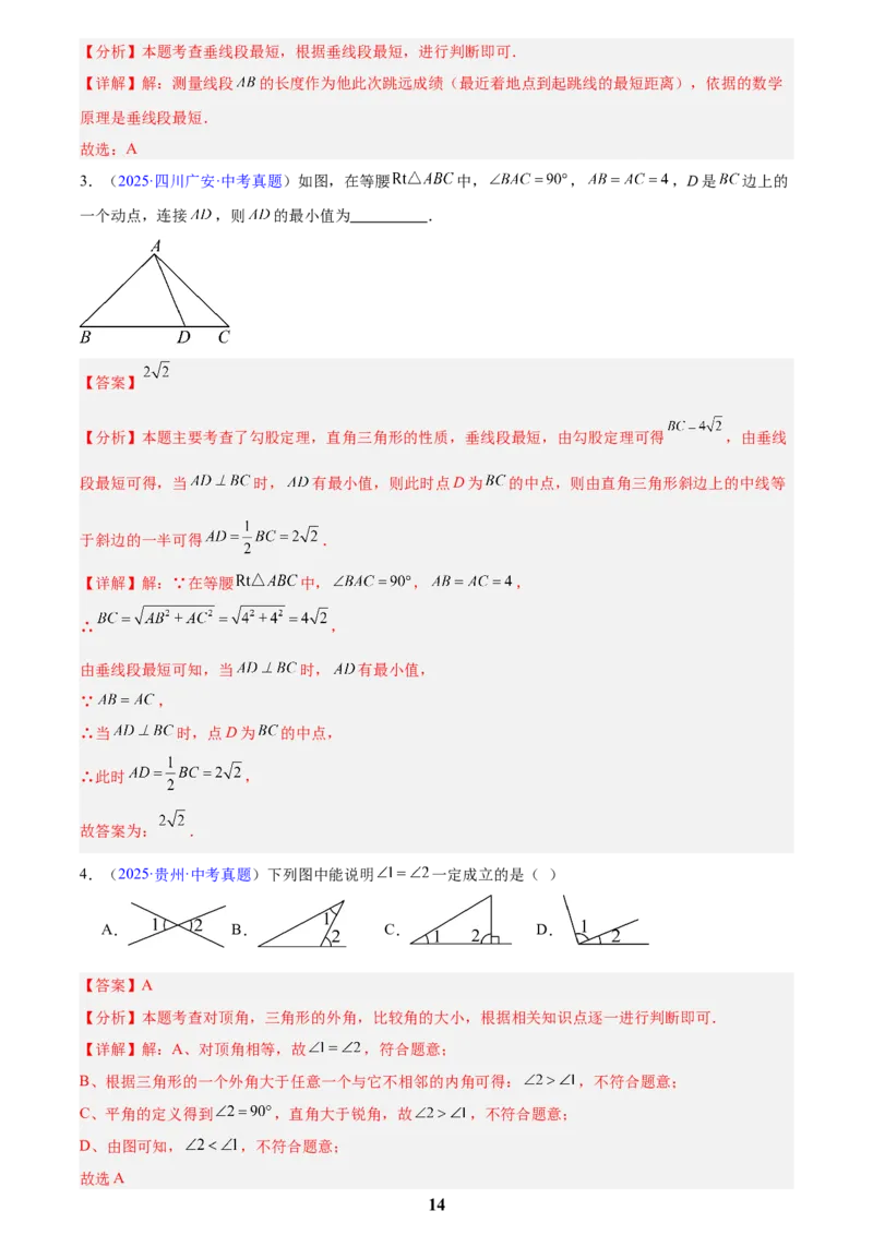 专题13几何图形初步与平行线(解析版)_2023-2025《3年中考1年模拟真题分类汇编》数学