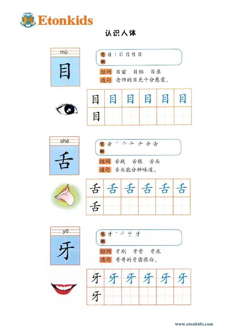 p124-书写&ldquo;目舌牙&rdquo;_幼小衔接全套_7.幼小衔接全套_22、幼小衔接教材_语文幼小衔接幼儿操作手册word（语文）