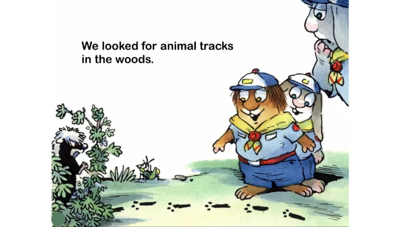 06.ScoutCamp_Frank（小毛怪）老师爆笑阅读单词课（50个故事3000词）_小炸毛爆笑故事单词课课件