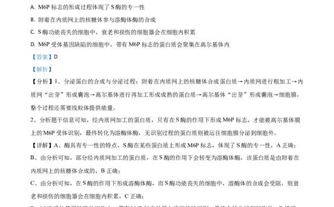 2020年高考生物试卷（山东）（解析卷）_生物历年高考真题_新&middot;Word版2008-2025&middot;高考生物真题_生物（按年份分类）2008-2025_2020&middot;高考生物真题