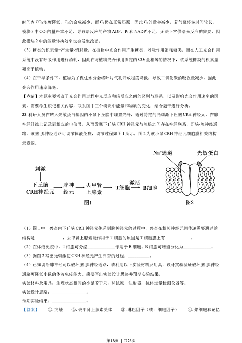 2020年高考生物试卷（山东）（解析卷）_生物历年高考真题_新&middot;Word版2008-2025&middot;高考生物真题_生物（按年份分类）2008-2025_2020&middot;高考生物真题