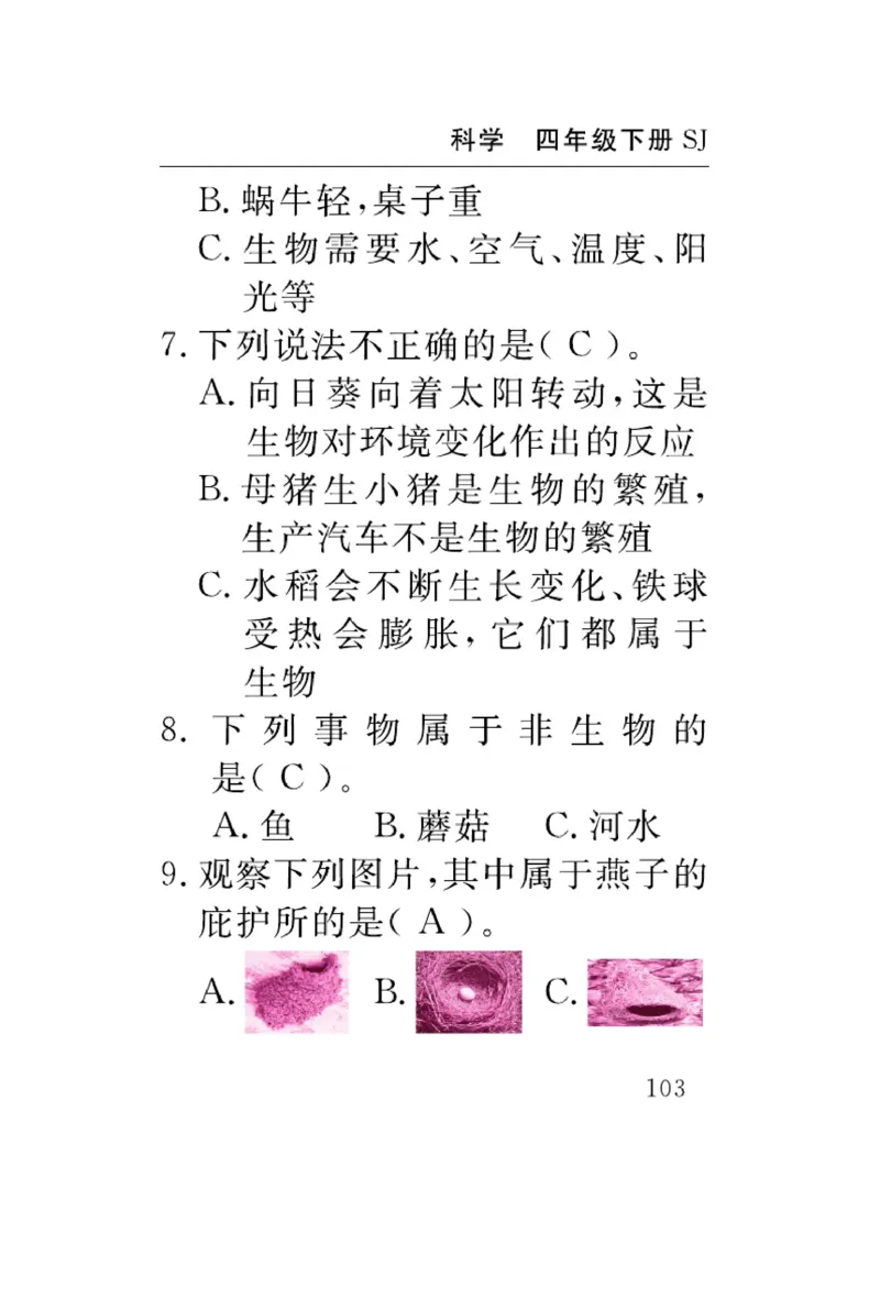 苏教版科学四年级下册速记速查_2024年人教版小学数学一二三四五六年级上册下册期中期末试a0747_小学全科《同步练习+精品试卷》打包下载（1-6年级单元月考期中期末试卷）_小学科学
