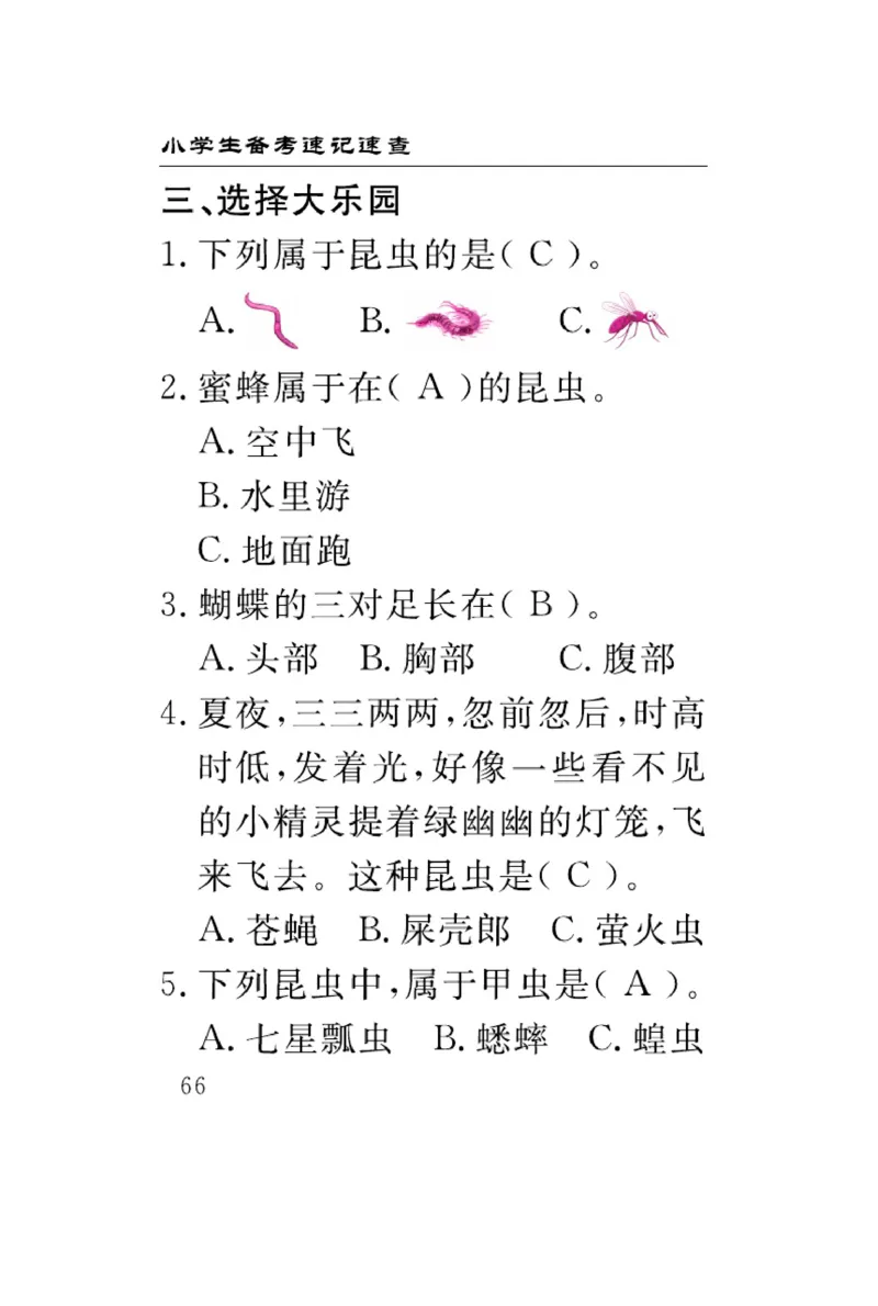 苏教版科学四年级下册速记速查_2024年人教版小学数学一二三四五六年级上册下册期中期末试a0747_小学全科《同步练习+精品试卷》打包下载（1-6年级单元月考期中期末试卷）_小学科学