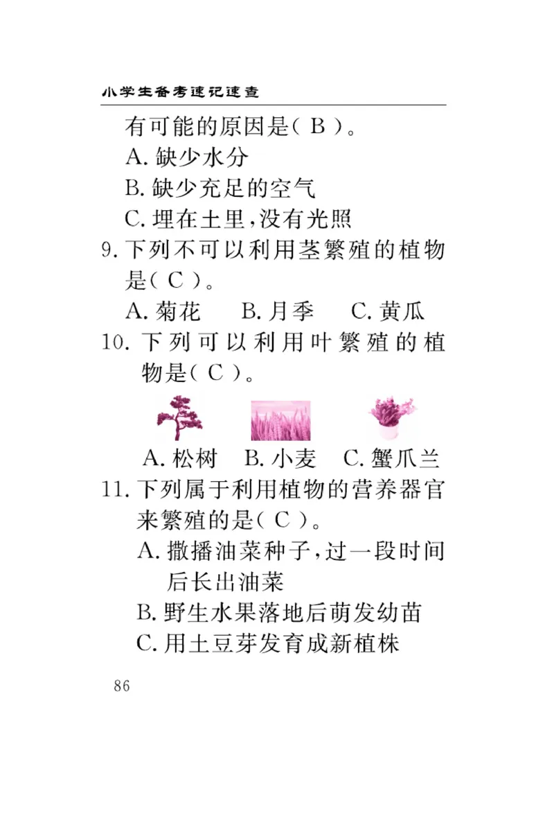 苏教版科学四年级下册速记速查_2024年人教版小学数学一二三四五六年级上册下册期中期末试a0747_小学全科《同步练习+精品试卷》打包下载（1-6年级单元月考期中期末试卷）_小学科学