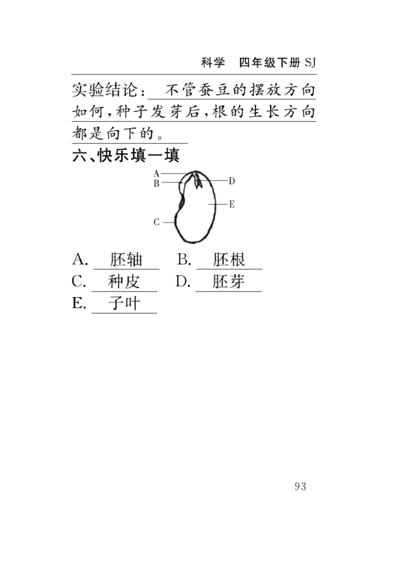苏教版科学四年级下册速记速查_2024年人教版小学数学一二三四五六年级上册下册期中期末试a0747_小学全科《同步练习+精品试卷》打包下载（1-6年级单元月考期中期末试卷）_小学科学