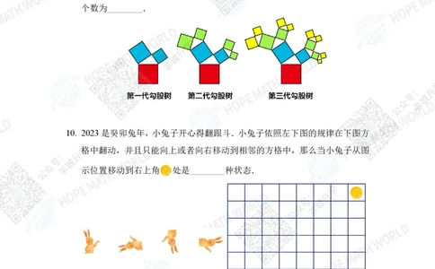 2023IHCD-2_希望杯IHC