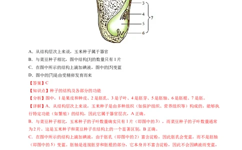 生物（贵州卷）（全解全析）_2025年初中《中考第一次模拟》全国各地区模拟卷（8科全）(1)_2025年《中考第一次模拟卷》初中生物_贵州&radic;