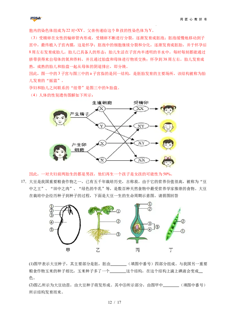 生物（贵州卷）（全解全析）_2025年初中《中考第一次模拟》全国各地区模拟卷（8科全）(1)_2025年《中考第一次模拟卷》初中生物_贵州&radic;