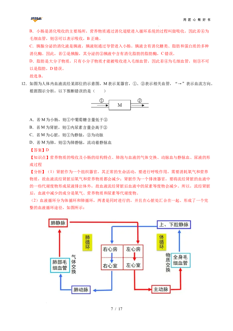 生物（贵州卷）（全解全析）_2025年初中《中考第一次模拟》全国各地区模拟卷（8科全）(1)_2025年《中考第一次模拟卷》初中生物_贵州&radic;