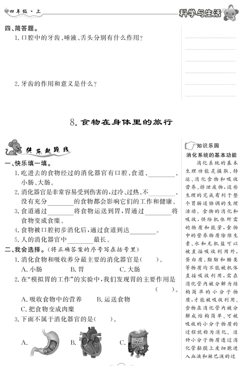 科学与生活四年级上册教科版_2024年人教版小学数学一二三四五六年级上册下册期中期末试a0747_小学全科《同步练习+精品试卷》打包下载（1-6年级单元月考期中期末试卷）_小学科学