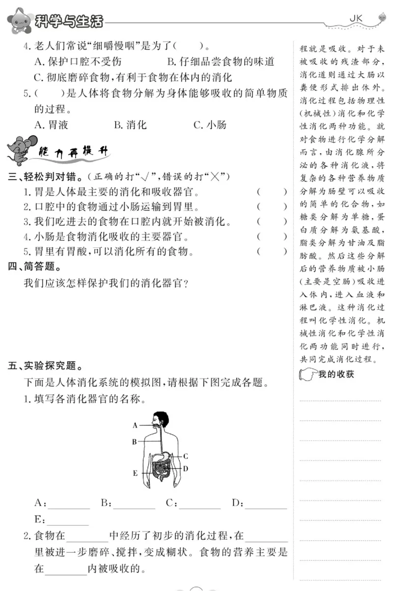 科学与生活四年级上册教科版_2024年人教版小学数学一二三四五六年级上册下册期中期末试a0747_小学全科《同步练习+精品试卷》打包下载（1-6年级单元月考期中期末试卷）_小学科学