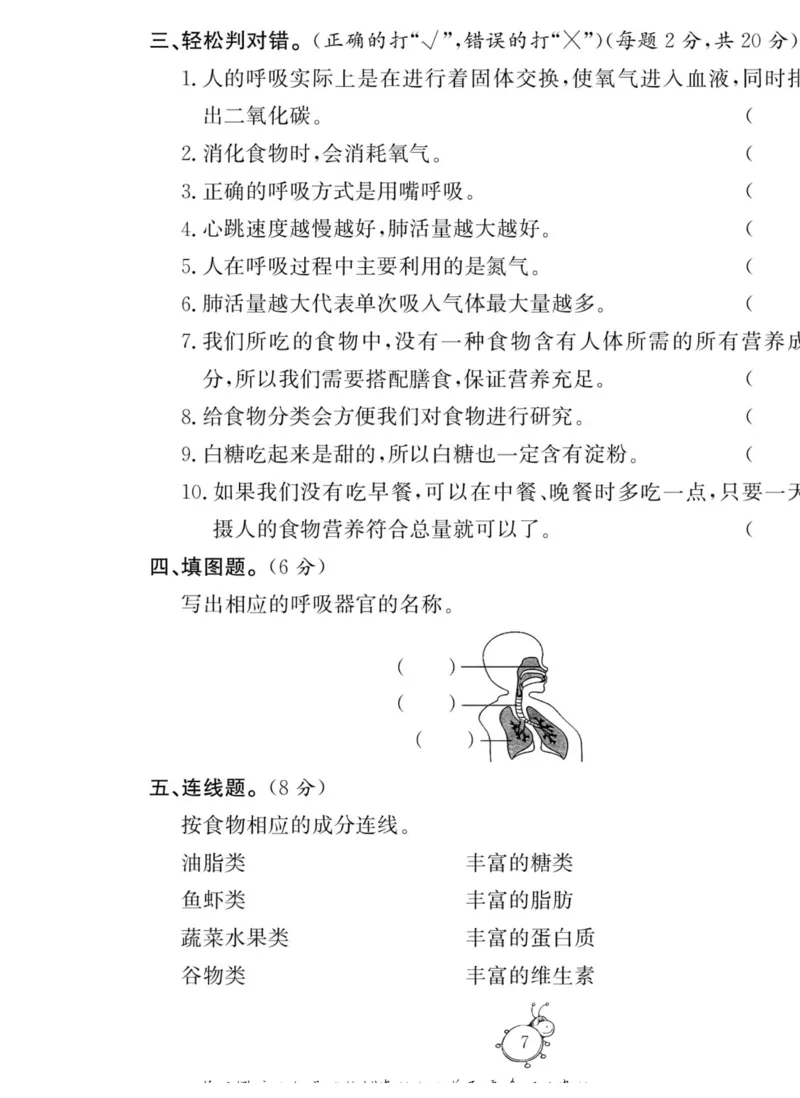 科学与生活四年级上册教科版_2024年人教版小学数学一二三四五六年级上册下册期中期末试a0747_小学全科《同步练习+精品试卷》打包下载（1-6年级单元月考期中期末试卷）_小学科学