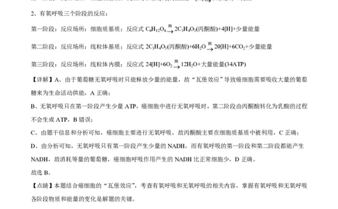 2020年高考生物试卷（山东）（解析卷）_生物历年高考真题_新&middot;PDF版2008-2025&middot;高考生物真题_生物（按省份分类）2008-2025_2008-2025&middot;（山东）生物高考真题