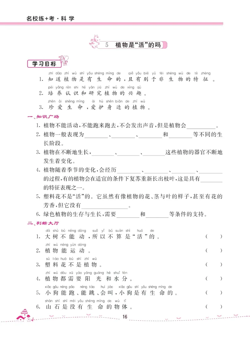 名校练加考科学教科版1年级上册_2024年人教版小学数学一二三四五六年级上册下册期中期末试a0747_小学全科《同步练习+精品试卷》打包下载（1-6年级单元月考期中期末试卷）_小学科学