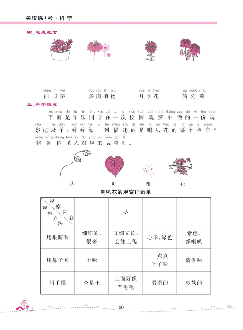 名校练加考科学教科版1年级上册_2024年人教版小学数学一二三四五六年级上册下册期中期末试a0747_小学全科《同步练习+精品试卷》打包下载（1-6年级单元月考期中期末试卷）_小学科学