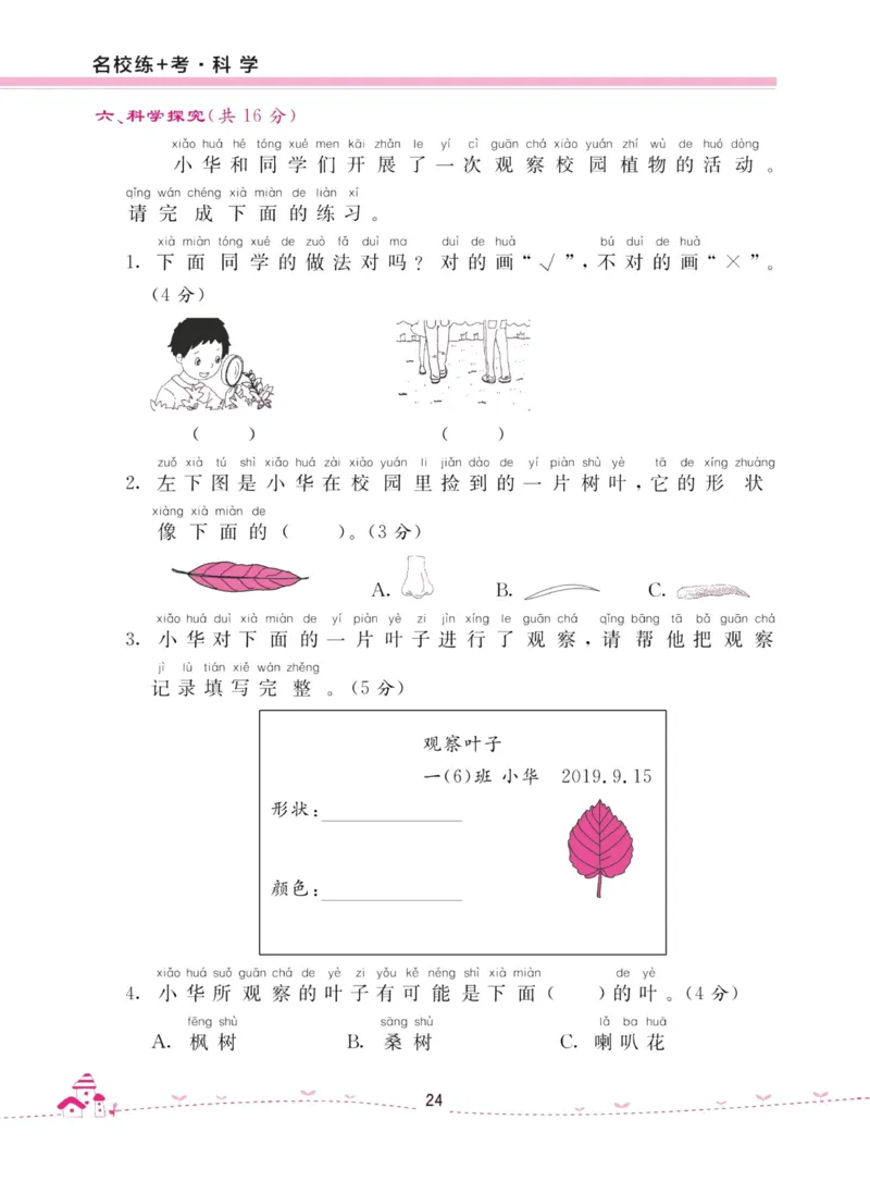 名校练加考科学教科版1年级上册_2024年人教版小学数学一二三四五六年级上册下册期中期末试a0747_小学全科《同步练习+精品试卷》打包下载（1-6年级单元月考期中期末试卷）_小学科学