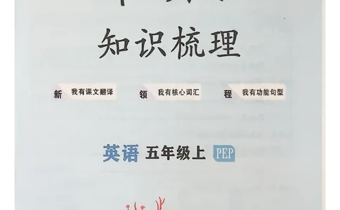 2025秋新领程英语五上知识梳理_《优翼新领程》25秋英语5年级上册（人教PEP）