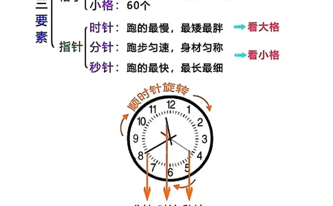 钟表知识大全_幼小语数英专项资料_幼小数学专项