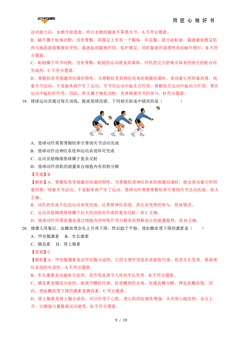 生物（全国卷）（全解全析）_2025年初中《中考第一次模拟》全国各地区模拟卷（8科全）(1)_2025年《中考第一次模拟卷》初中生物_全国通用&radic;