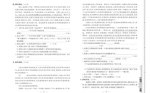 期末夺冠总复习&middot;语文6年级上_2024年人教版小学数学一二三四五六年级上册下册期中期末试a0747_小学全科《同步练习+精品试卷》打包下载（1-6年级单元月考期中期末试卷）_期末总复习