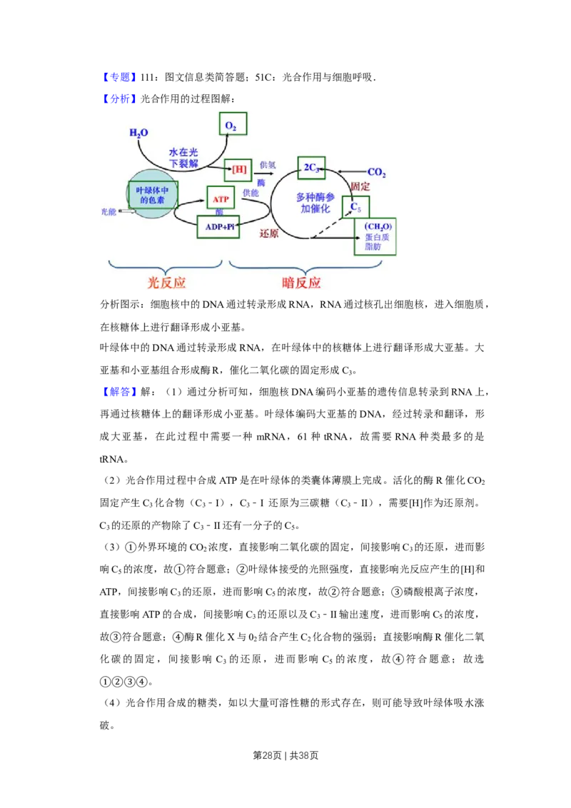 2019年高考生物试卷（江苏）（解析卷）_生物历年高考真题_新&middot;Word版2008-2025&middot;高考生物真题_生物（按年份分类）2008-2025_2019&middot;高考生物真题