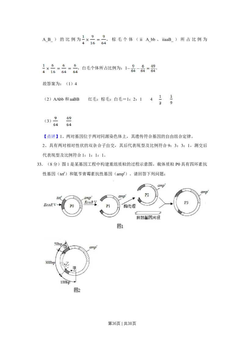 2019年高考生物试卷（江苏）（解析卷）_生物历年高考真题_新&middot;Word版2008-2025&middot;高考生物真题_生物（按年份分类）2008-2025_2019&middot;高考生物真题