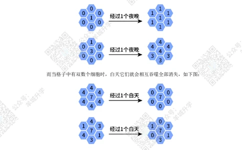 2021夏令营巅峰对决2年级题目及答案_希望杯IHC