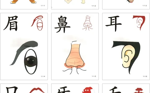 直映识字第一册3x3_幼小衔接全套_幼小衔接资料大全_幼小衔接资料1️⃣_幼小衔接语文_直映识字