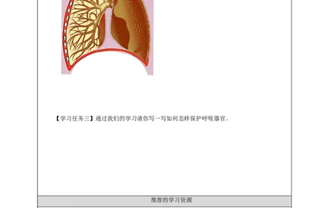 1201三年级科学(人教版)第四单元回顾-3学习任务单_三年级上下册资料_小学三年级学习资料-25年更新版_3-09、小学三年级科学上册_人教鄂教版_学习任务单