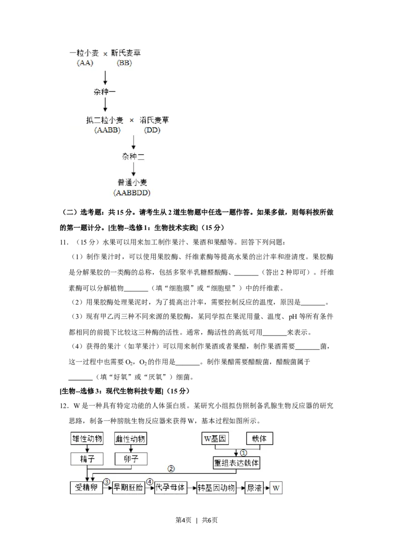 2020年高考生物试卷（新课标Ⅲ）（空白卷）_生物历年高考真题_新&middot;Word版2008-2025&middot;高考生物真题_生物（按试卷类型分类）2008-2025_全国卷&middot;生物（2008-2024）