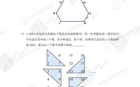 2024IHCD-4发布版_希望杯IHC