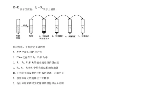 2020年高考生物试卷（浙江）1月（空白卷）_生物历年高考真题_新&middot;Word版2008-2025&middot;高考生物真题_生物（按年份分类）2008-2025_2020&middot;高考生物真题