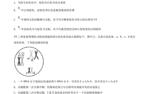 2020年高考生物试卷（浙江）1月（空白卷）_生物历年高考真题_新&middot;Word版2008-2025&middot;高考生物真题_生物（按年份分类）2008-2025_2020&middot;高考生物真题