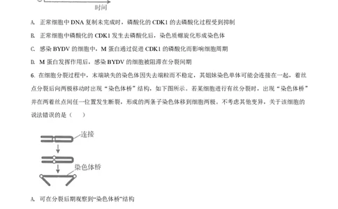 2020年高考生物试卷（山东）（空白卷）_生物历年高考真题_新&middot;PDF版2008-2025&middot;高考生物真题_生物（按年份分类）2008-2025_2020&middot;高考生物真题