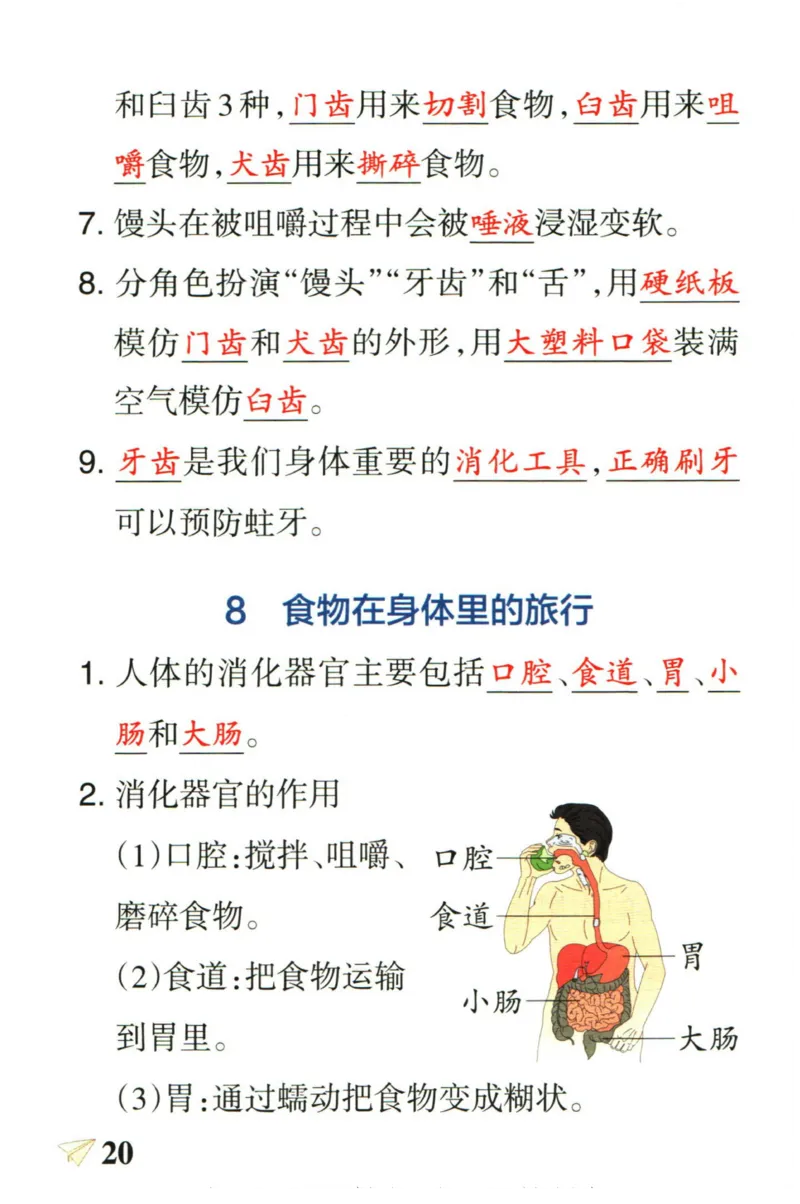 小学学霸作业本四年级上册科学教科版知识手册_2024年人教版小学数学一二三四五六年级上册下册期中期末试a0747_小学全科《同步练习+精品试卷》打包下载（1-6年级单元月考期中期末试卷）