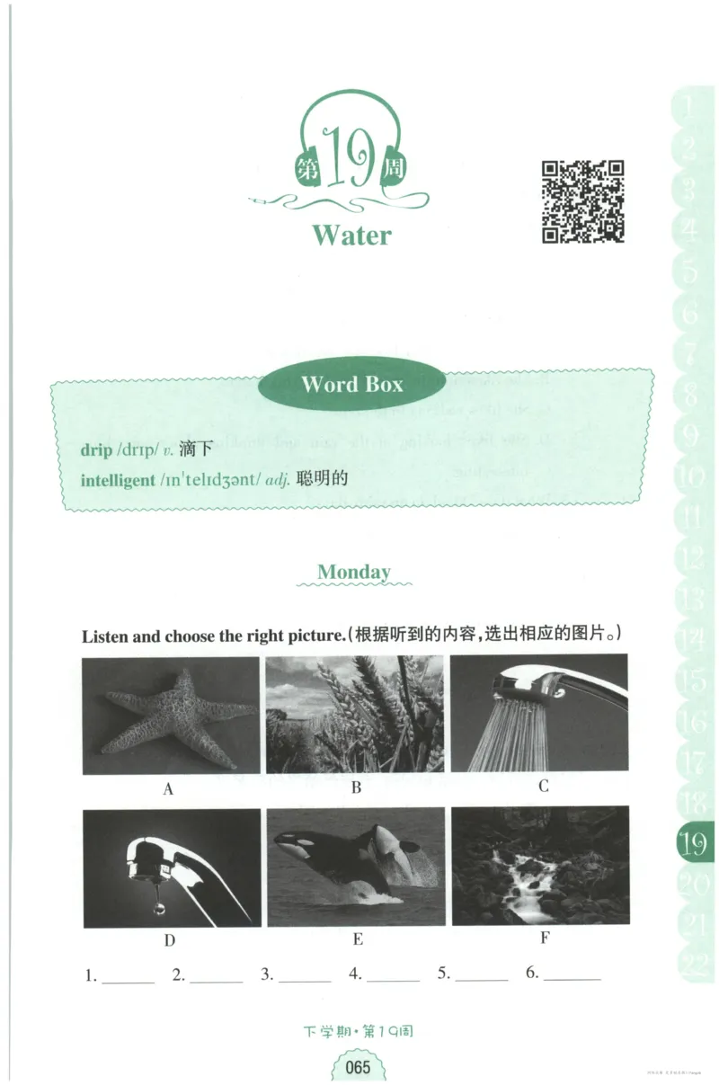 课时科学JK三上_2024年人教版小学数学一二三四五六年级上册下册期中期末试a0747_小学全科《同步练习+精品试卷》打包下载（1-6年级单元月考期中期末试卷）_小学科学
