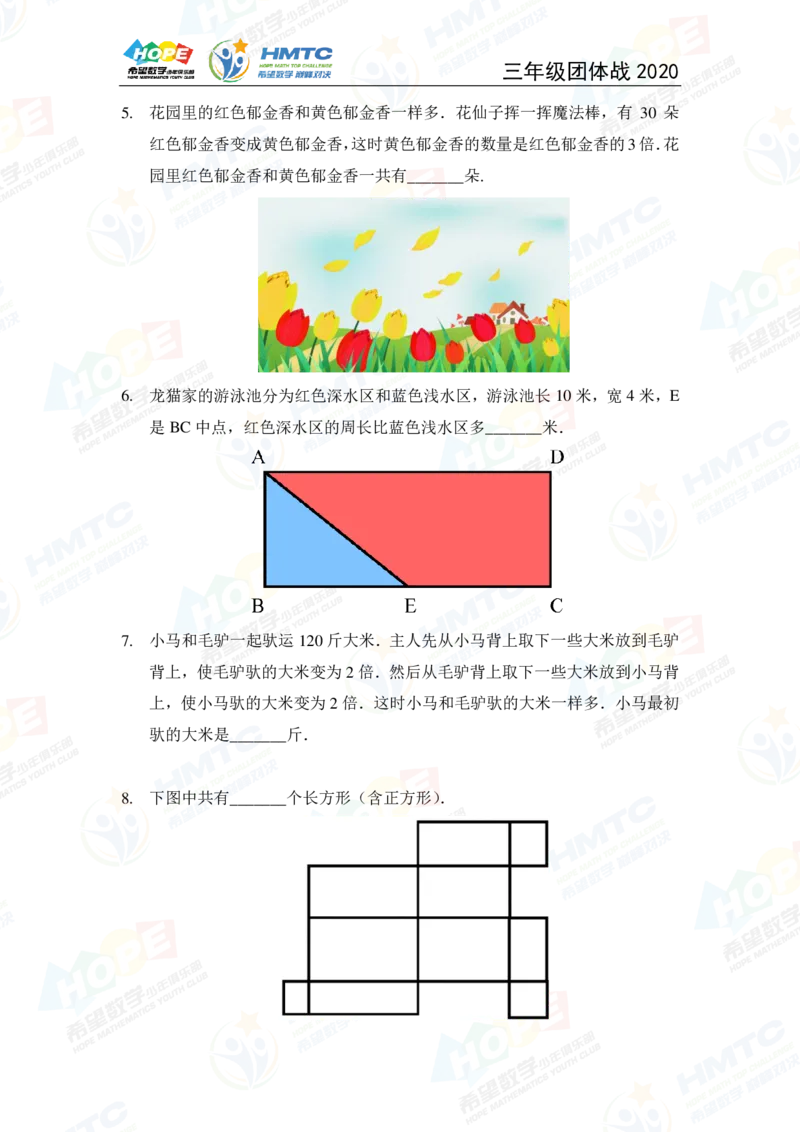 2024年3年级完整版_希望杯IHC