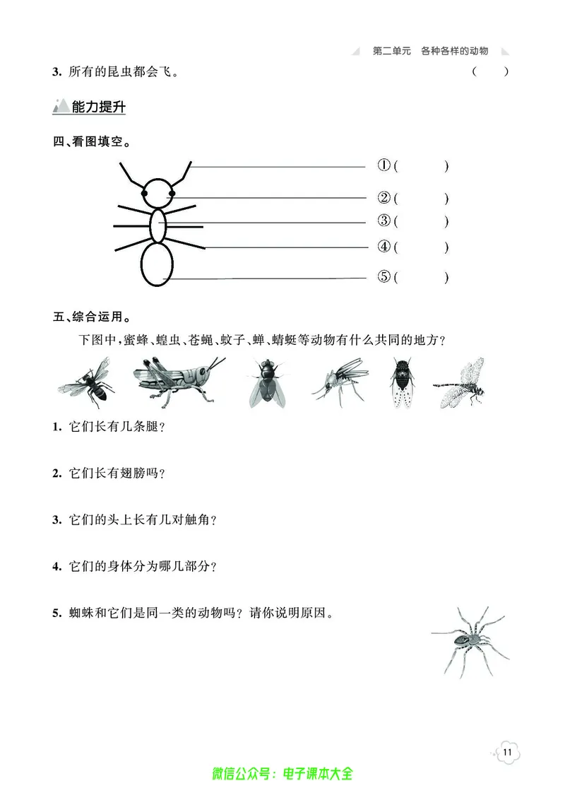 湘科版3a_2024年人教版小学数学一二三四五六年级上册下册期中期末试a0747_小学全科《同步练习+精品试卷》打包下载（1-6年级单元月考期中期末试卷）_小学科学_《七彩同步训练》