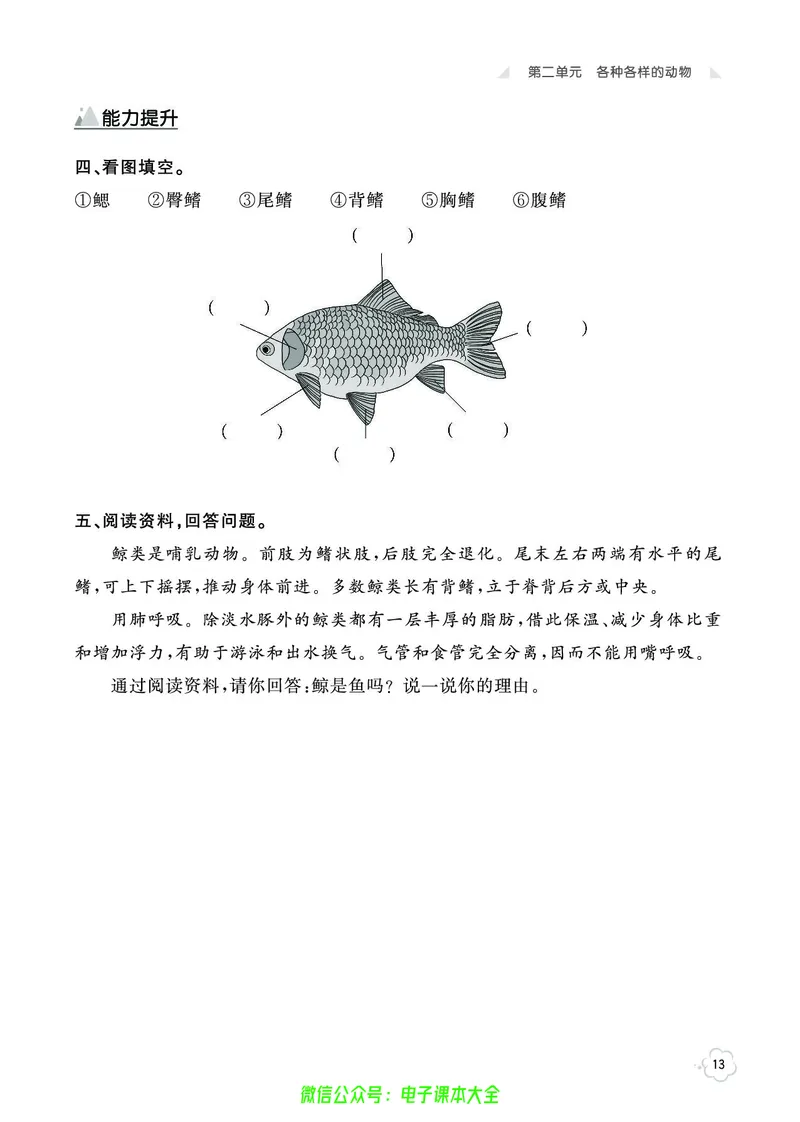 湘科版3a_2024年人教版小学数学一二三四五六年级上册下册期中期末试a0747_小学全科《同步练习+精品试卷》打包下载（1-6年级单元月考期中期末试卷）_小学科学_《七彩同步训练》