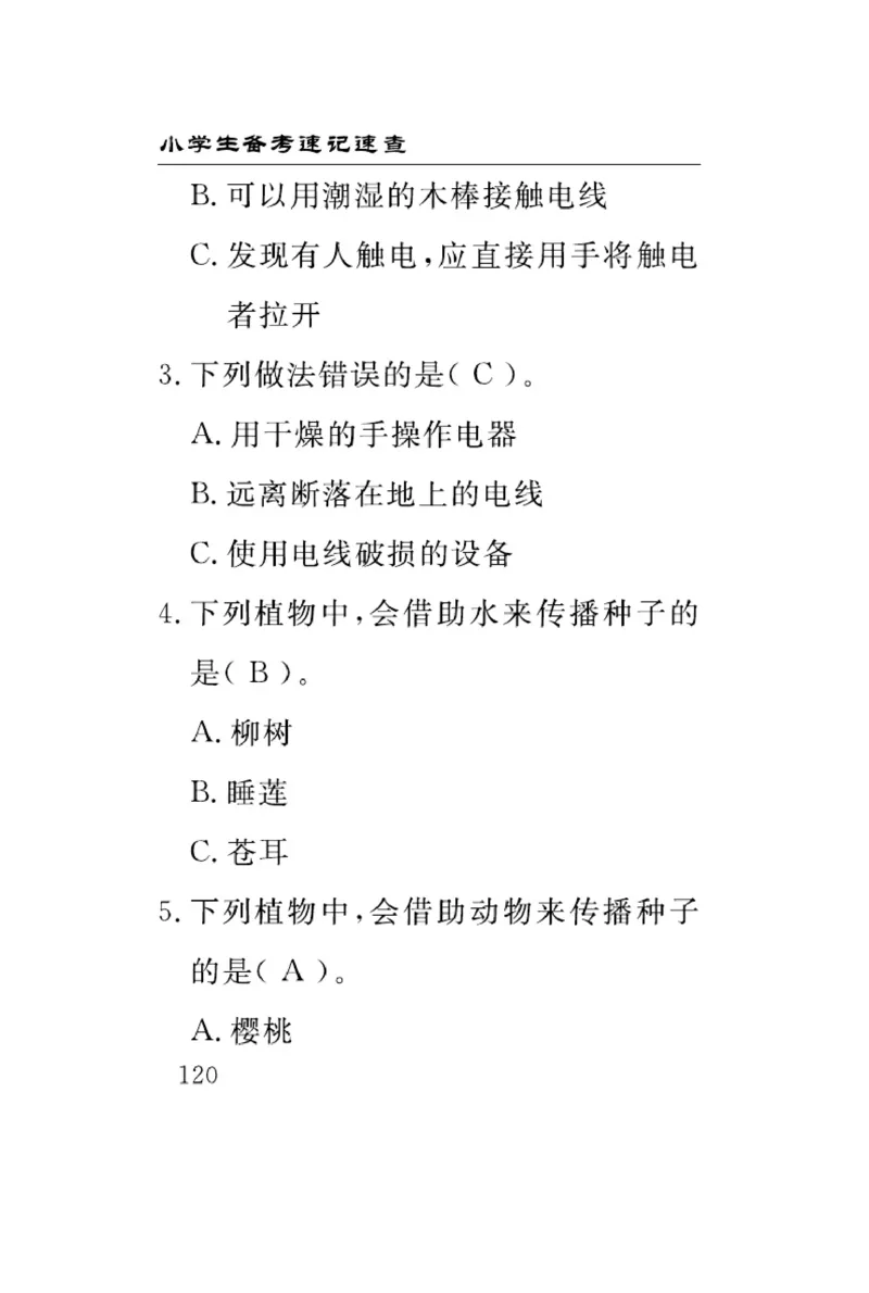 大象版科学三年级下册速记速查_2024年人教版小学数学一二三四五六年级上册下册期中期末试a0747_小学全科《同步练习+精品试卷》打包下载（1-6年级单元月考期中期末试卷）_小学科学