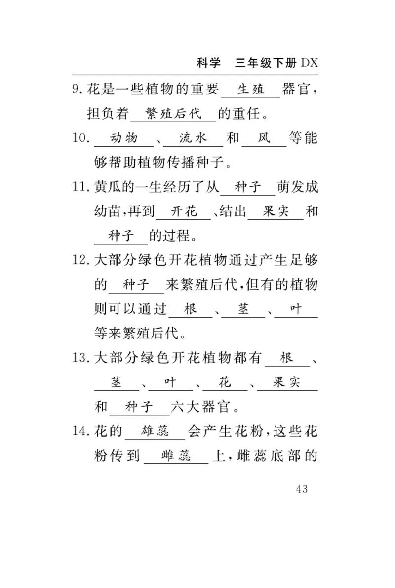 大象版科学三年级下册速记速查_2024年人教版小学数学一二三四五六年级上册下册期中期末试a0747_小学全科《同步练习+精品试卷》打包下载（1-6年级单元月考期中期末试卷）_小学科学