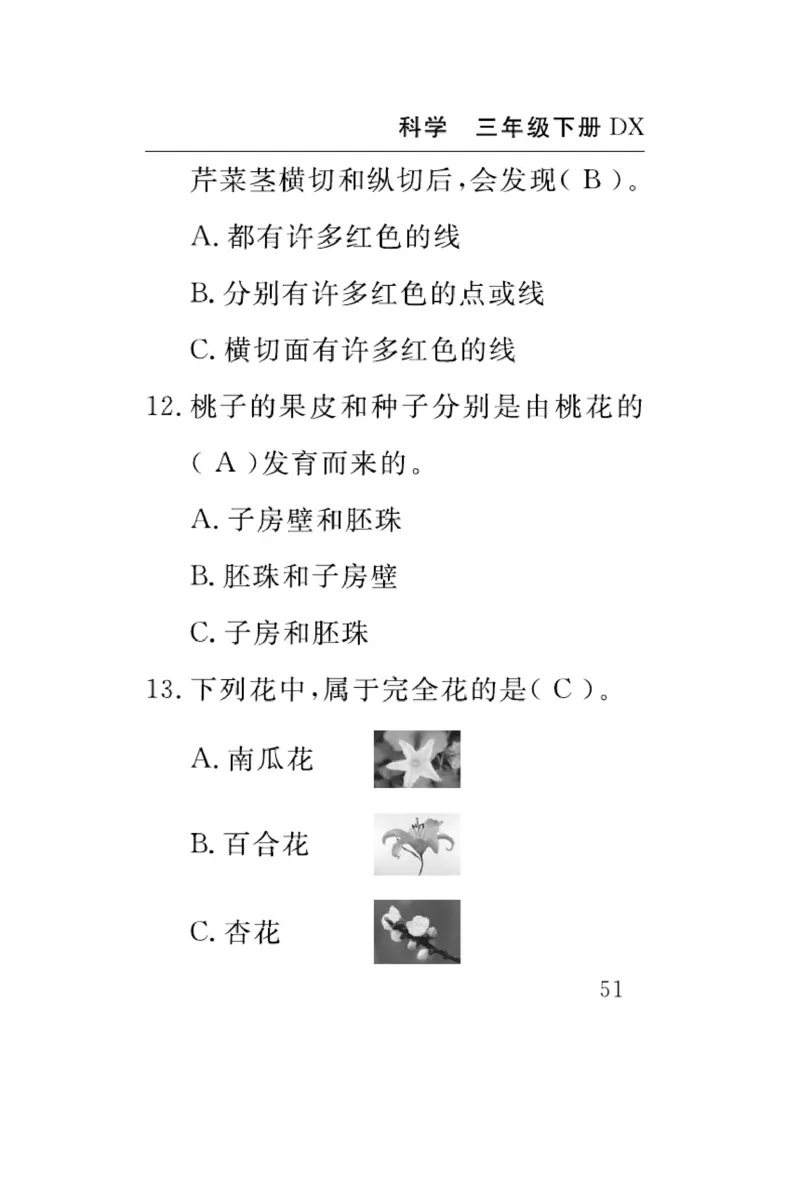 大象版科学三年级下册速记速查_2024年人教版小学数学一二三四五六年级上册下册期中期末试a0747_小学全科《同步练习+精品试卷》打包下载（1-6年级单元月考期中期末试卷）_小学科学