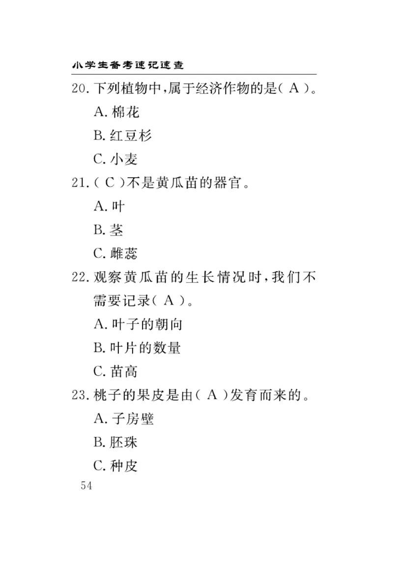大象版科学三年级下册速记速查_2024年人教版小学数学一二三四五六年级上册下册期中期末试a0747_小学全科《同步练习+精品试卷》打包下载（1-6年级单元月考期中期末试卷）_小学科学