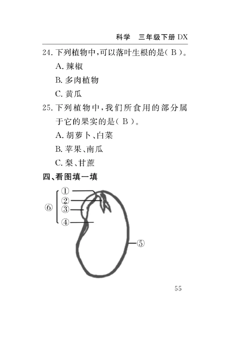 大象版科学三年级下册速记速查_2024年人教版小学数学一二三四五六年级上册下册期中期末试a0747_小学全科《同步练习+精品试卷》打包下载（1-6年级单元月考期中期末试卷）_小学科学